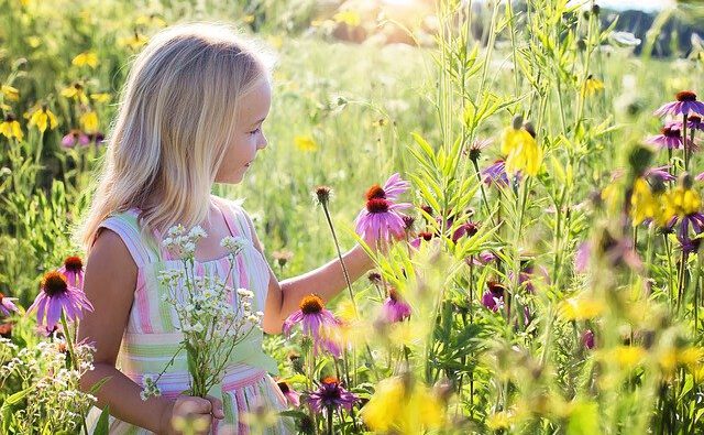 Dziewczynka zbierająca kwiaty